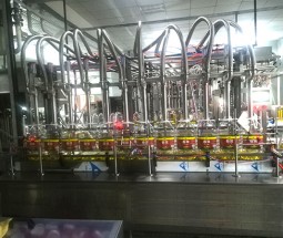 伺服技術(shù)灌裝機(jī)