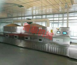 微波烘干滅 菌設(shè)備